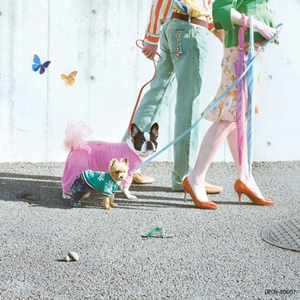 岳丰满熟妇猛交DVD
